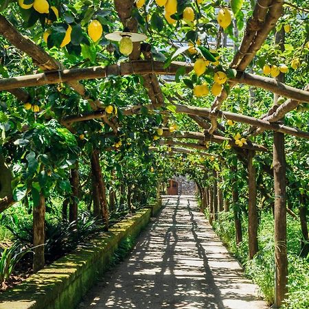 Agriturismo Il Giardino Di Vigliano Маса Лубрензе Екстериор снимка