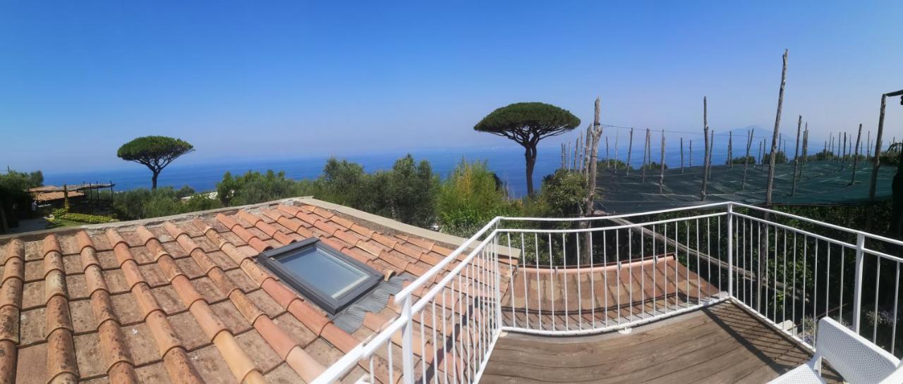 Agriturismo Il Giardino Di Vigliano Маса Лубрензе Екстериор снимка
