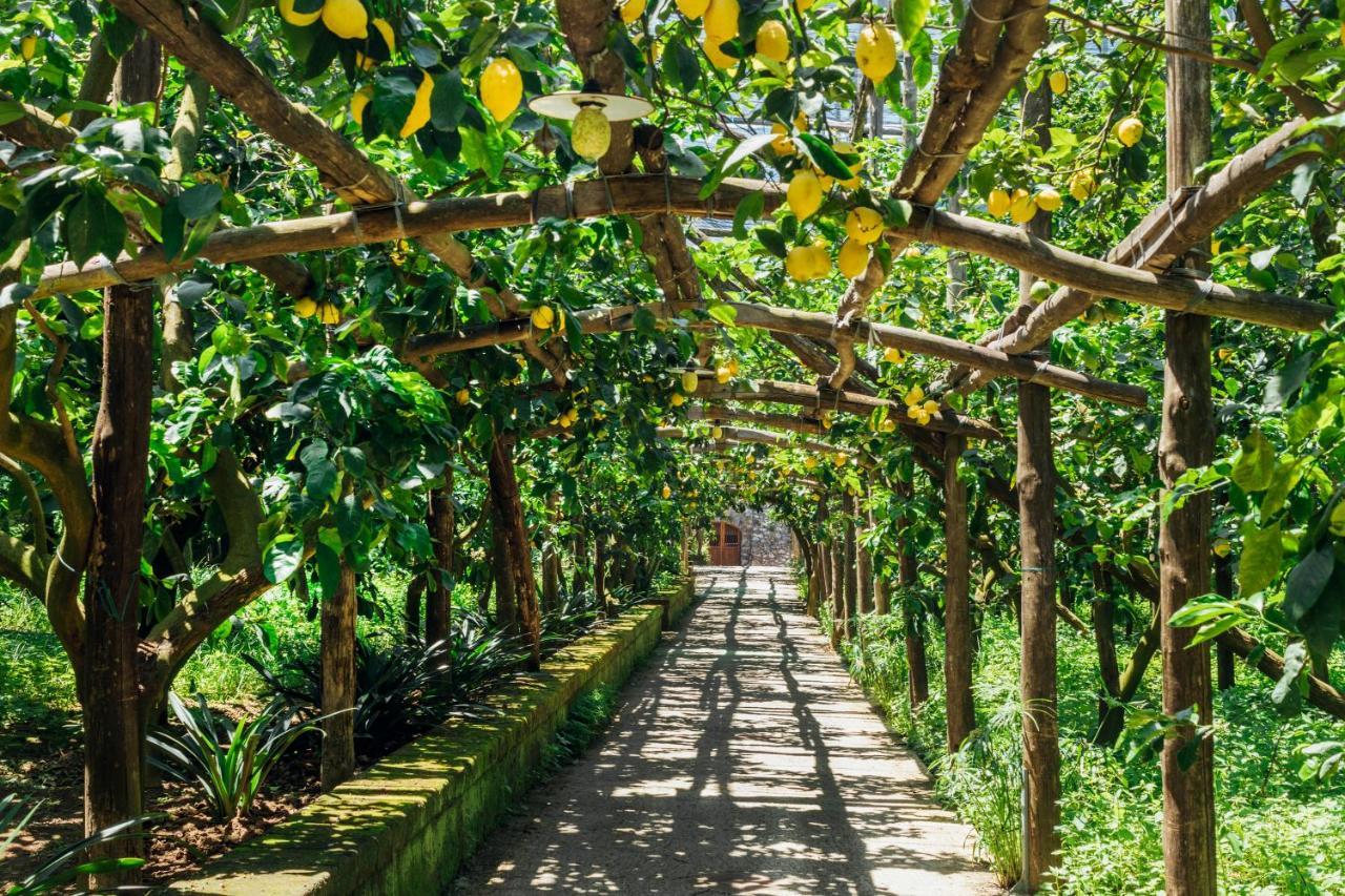Agriturismo Il Giardino Di Vigliano Маса Лубрензе Екстериор снимка